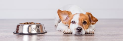 AdobeStock_215708488