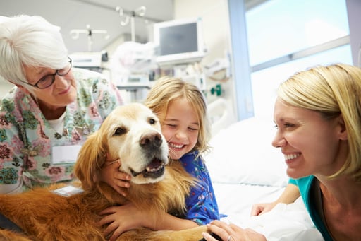 girl in hospital being visited by a therapy dog