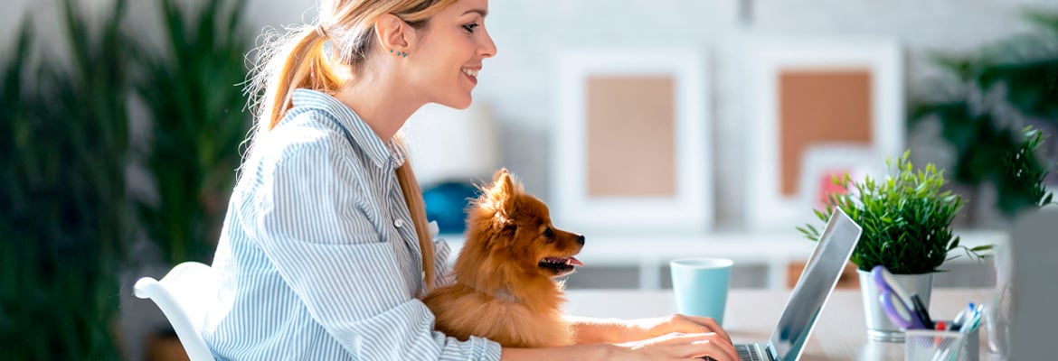 Une femme travaillant à domicile devant son ordinateur. Son chien est sur ses genoux.