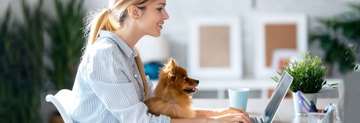 A woman working from home at her computer. Her dog is on her lap.