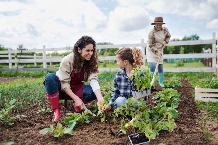 3 generations of women in a vegetable garden