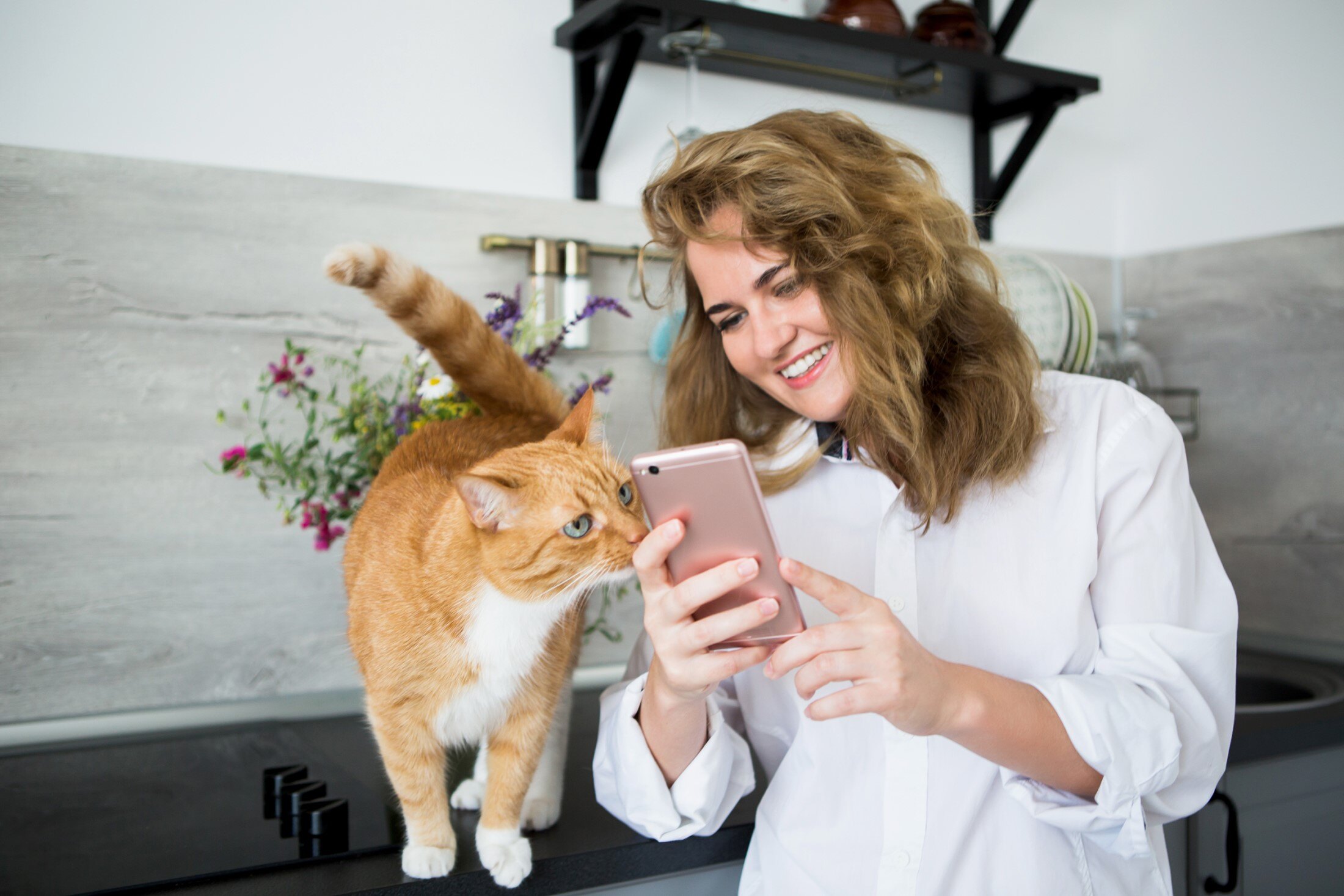 Femme regardant son téléphone avec son chat